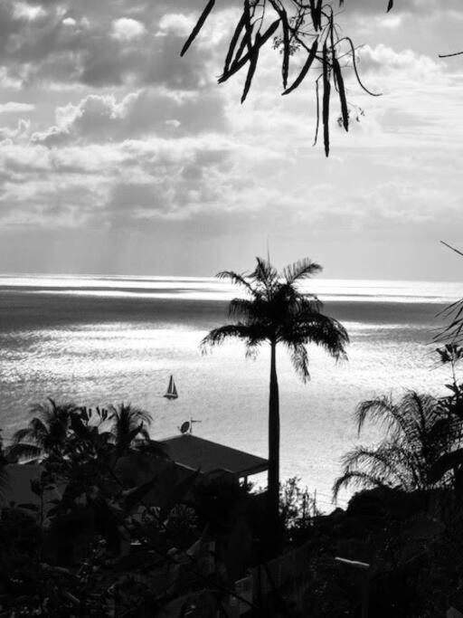 Ti Sucrier Jaune - Douceur Caraibe Vue Mer Ле-Карбе Экстерьер фото