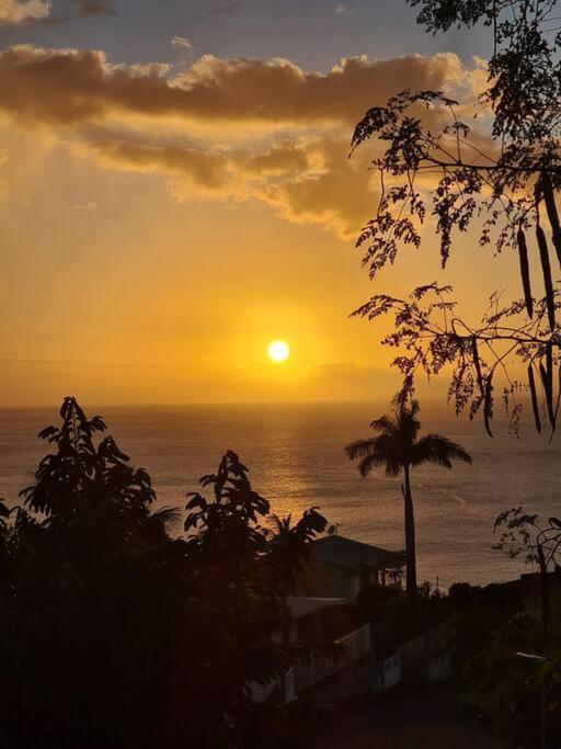 Ti Sucrier Jaune - Douceur Caraibe Vue Mer Ле-Карбе Экстерьер фото