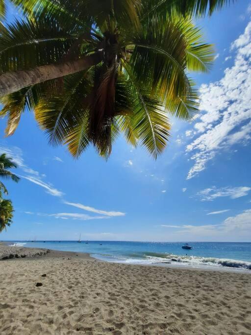 Ti Sucrier Jaune - Douceur Caraibe Vue Mer Ле-Карбе Экстерьер фото