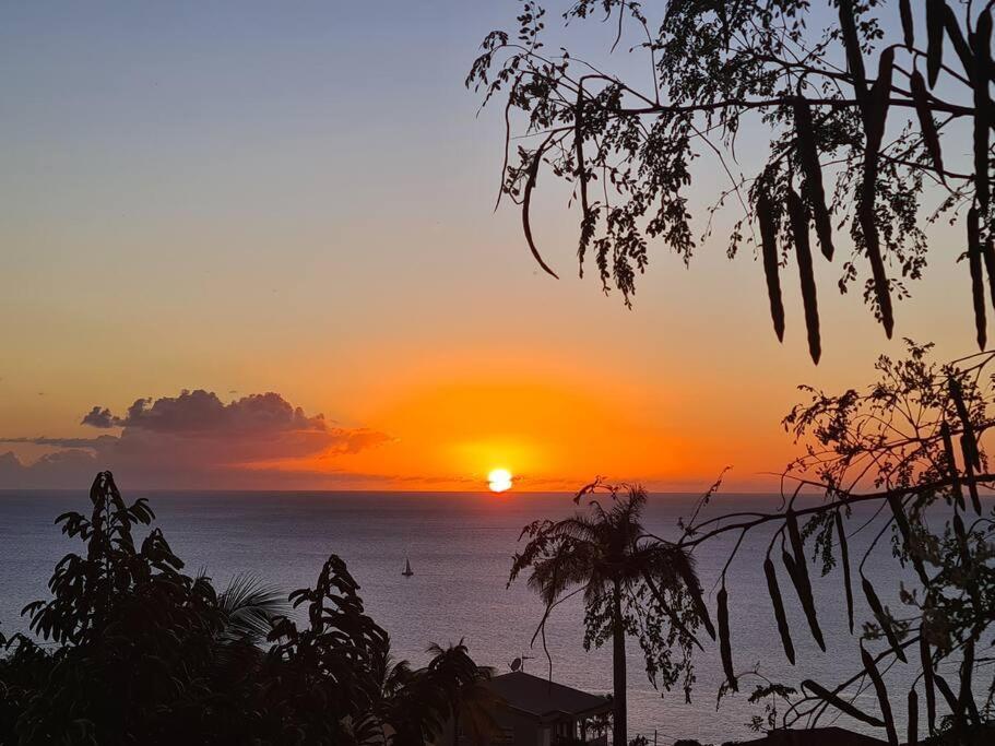 Ti Sucrier Jaune - Douceur Caraibe Vue Mer Ле-Карбе Экстерьер фото