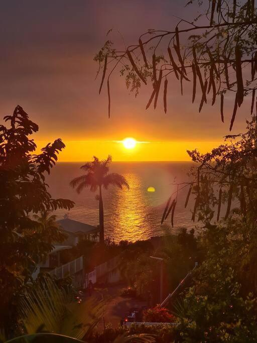 Ti Sucrier Jaune - Douceur Caraibe Vue Mer Ле-Карбе Экстерьер фото